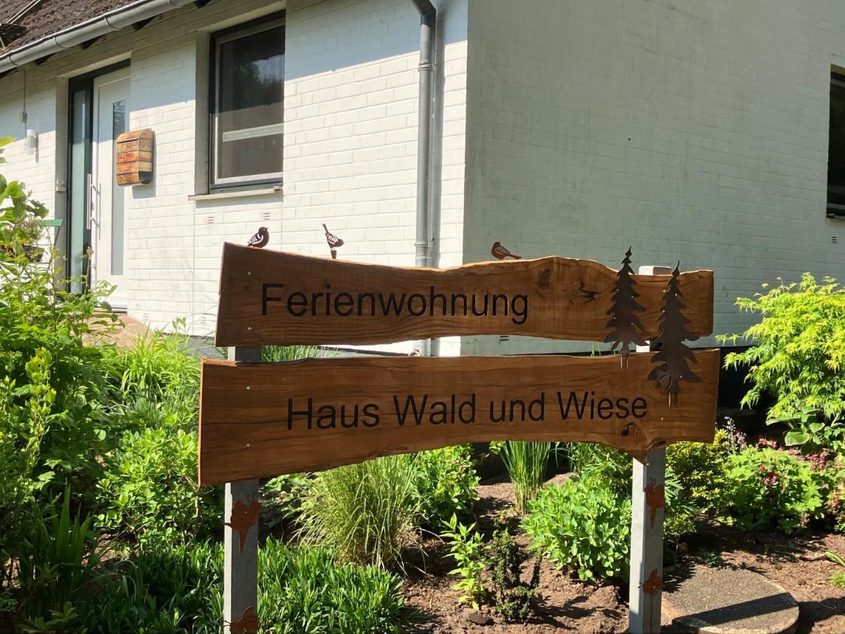 Haus Wald Und Wiese Wald Apartment Ehndorf